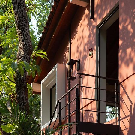 La Paranera Hotel & Relax Comala Εξωτερικό φωτογραφία